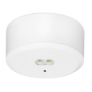 DALI 6W 450lm Bulhead IP65 Non-maintained, recessed & surface downlight