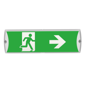 DALI 8W EM Bulkhead 1200lm IP65 Non Maintained / Maintained